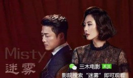 迷雾在线免费观看,揭秘迷雾在线观看之旅