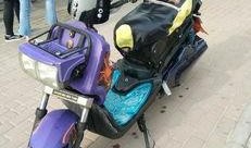 南阳电动车爆料事件最新,真相与争议交织